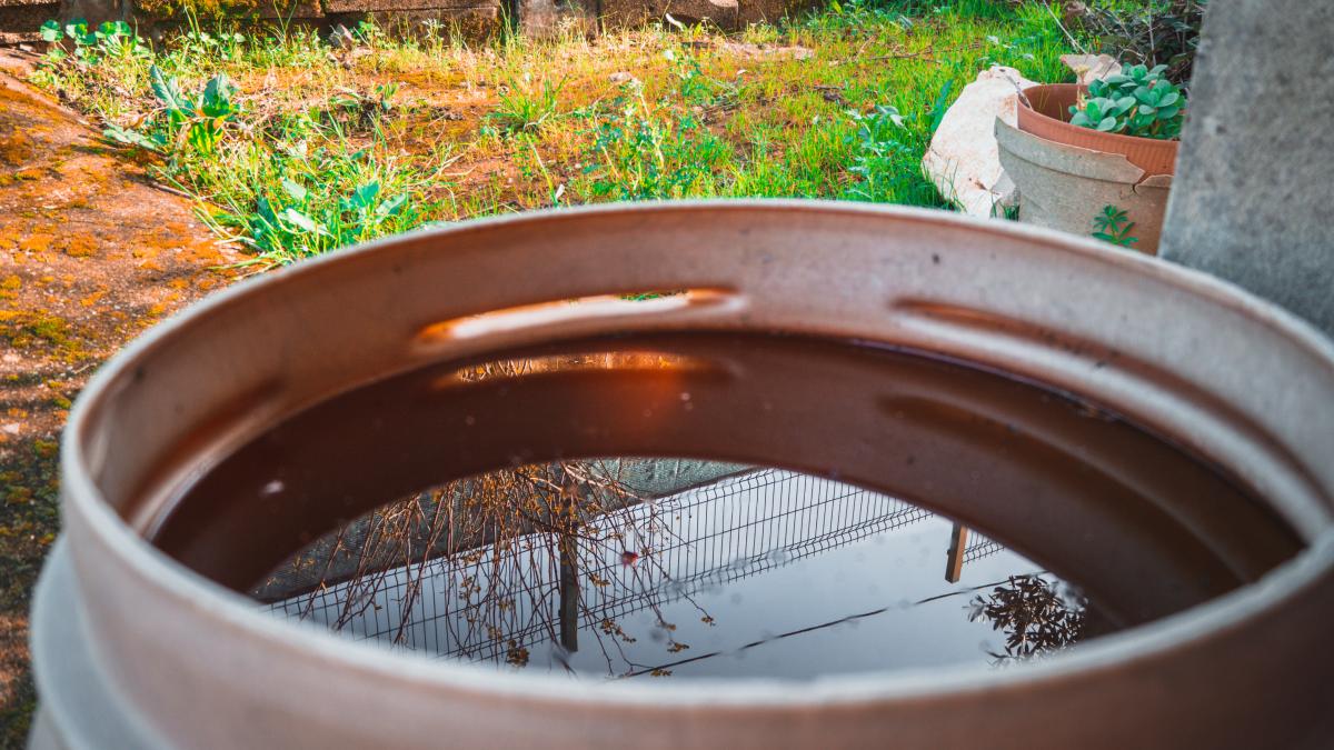 apa-de-ploaie_07831200