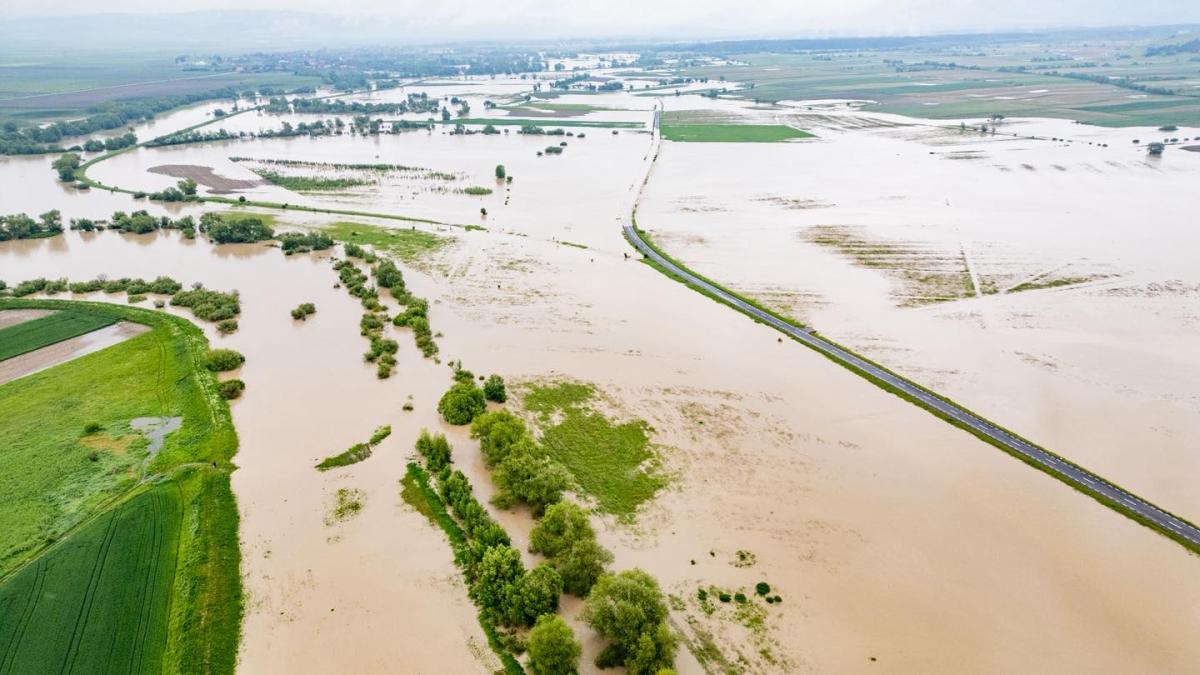 500802902_1105133201645580_6965325781560319570_n_80485800