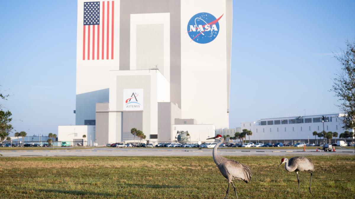 nasa-artemis_32516700