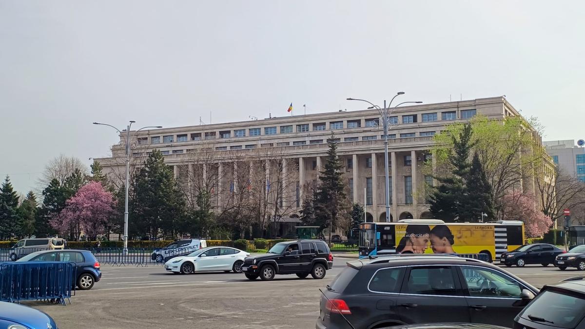 whatsapp-image-2025-03-26-at-01-21-18_44731500