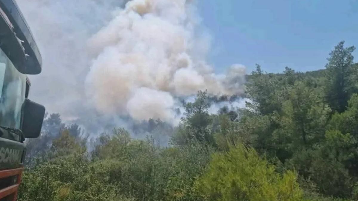 incendiu-grecia_17534500