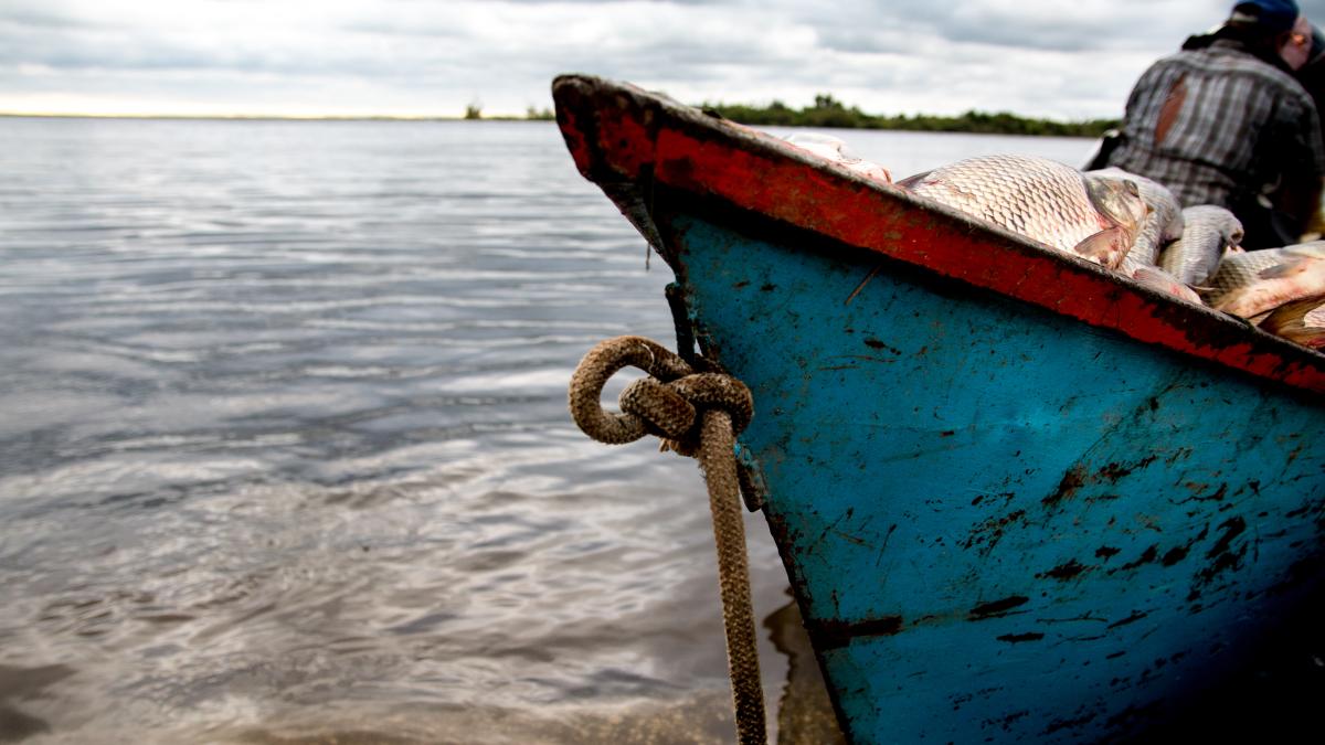 barca-pescuit_11507300