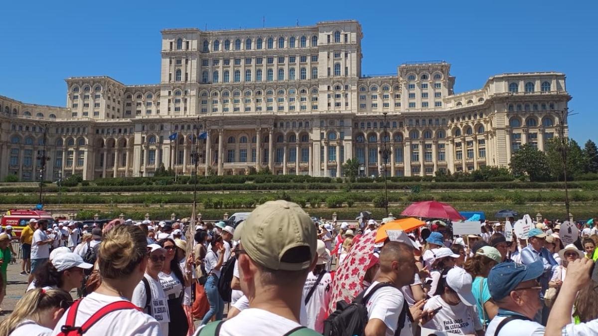 whatsapp-image-2024-07-08-at-12-21-13_05282000