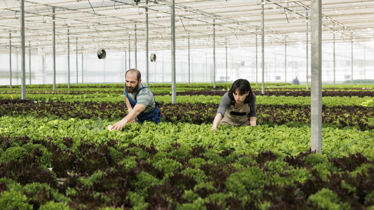 sera-fermieri_30842500