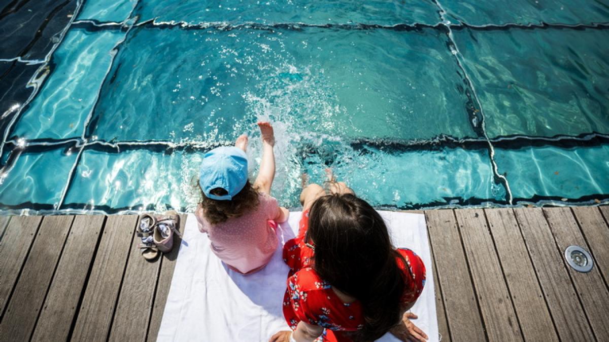 canicula_4_2_97294800