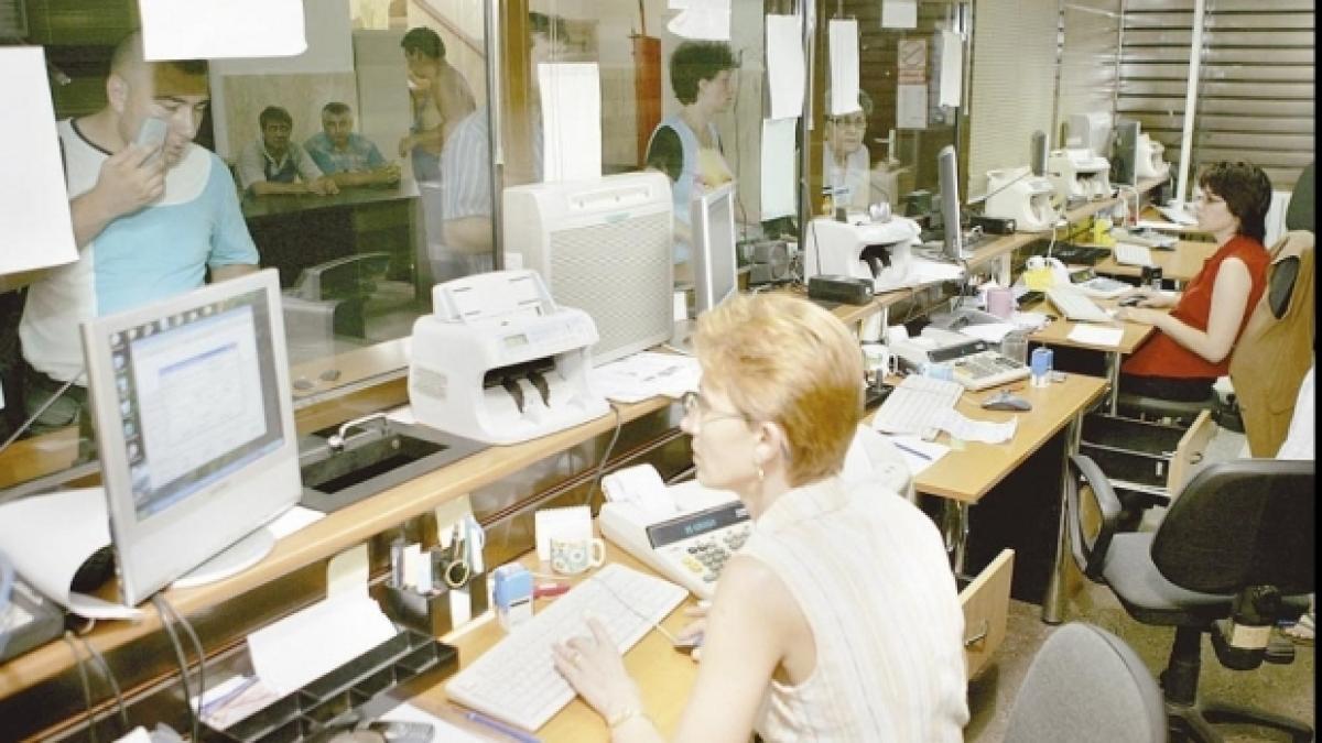 functionari_09887400