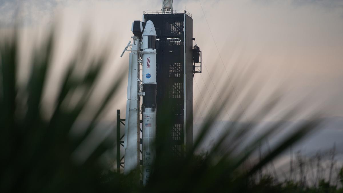 51670562620_37871ed93f_4k_88609600