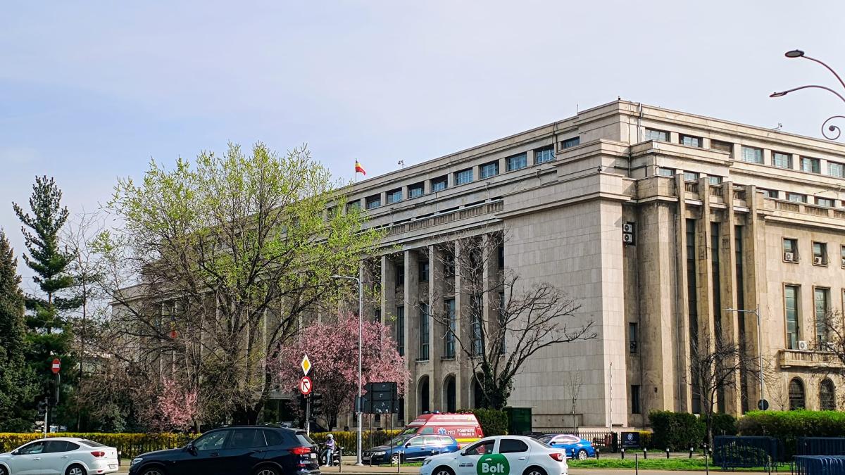 whatsapp-image-2025-03-26-at-01-21-18-1_93855500