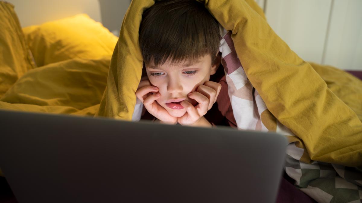 majoratul-internetului_66745800