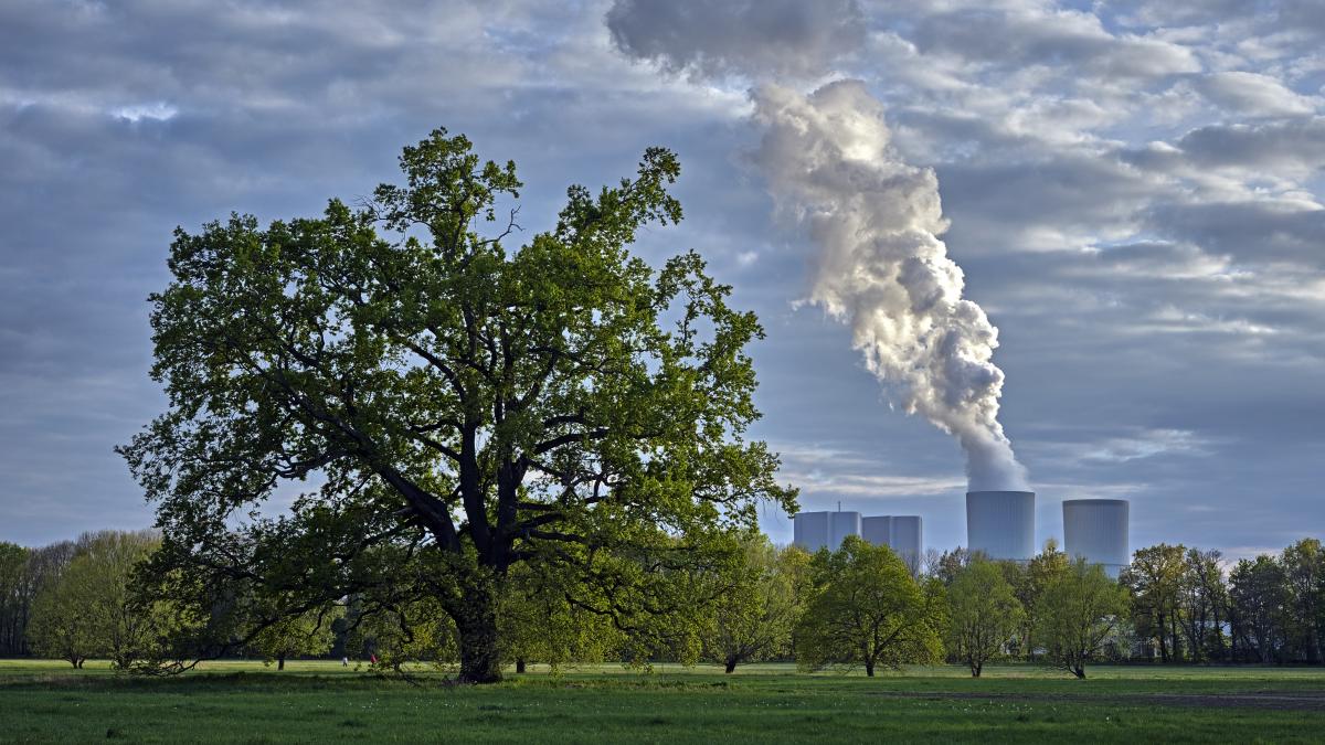 gaze-cu-efect-de-sera_83688100