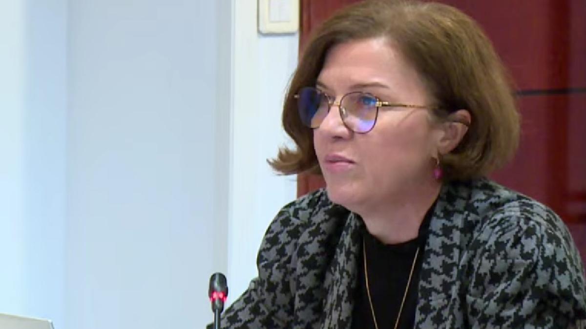 Daniela Dărăban (ACUE): Riscul de blackout trebuie tratat ca o urgență reală. România nu este pregătită pentru o criză energetică