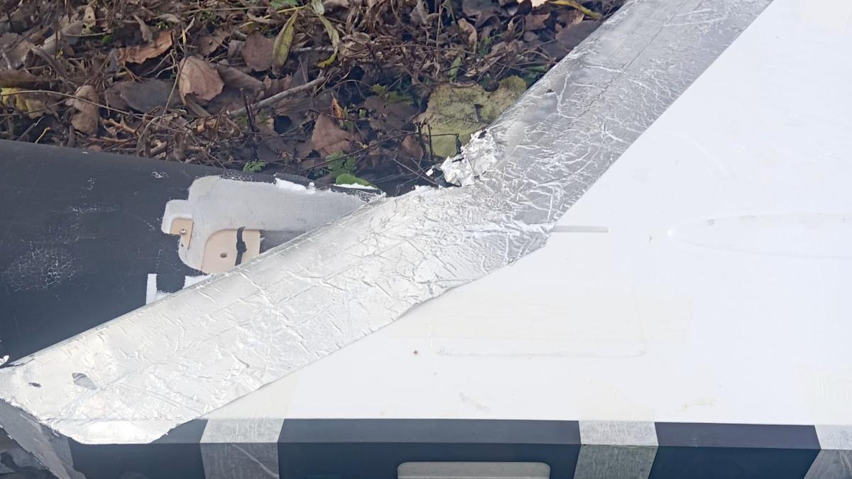 drona-puiesti-2_13915700