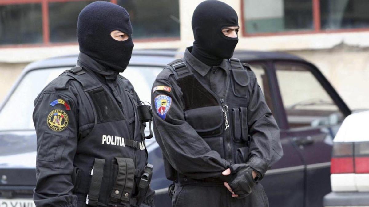 perchezitii_1_28358800