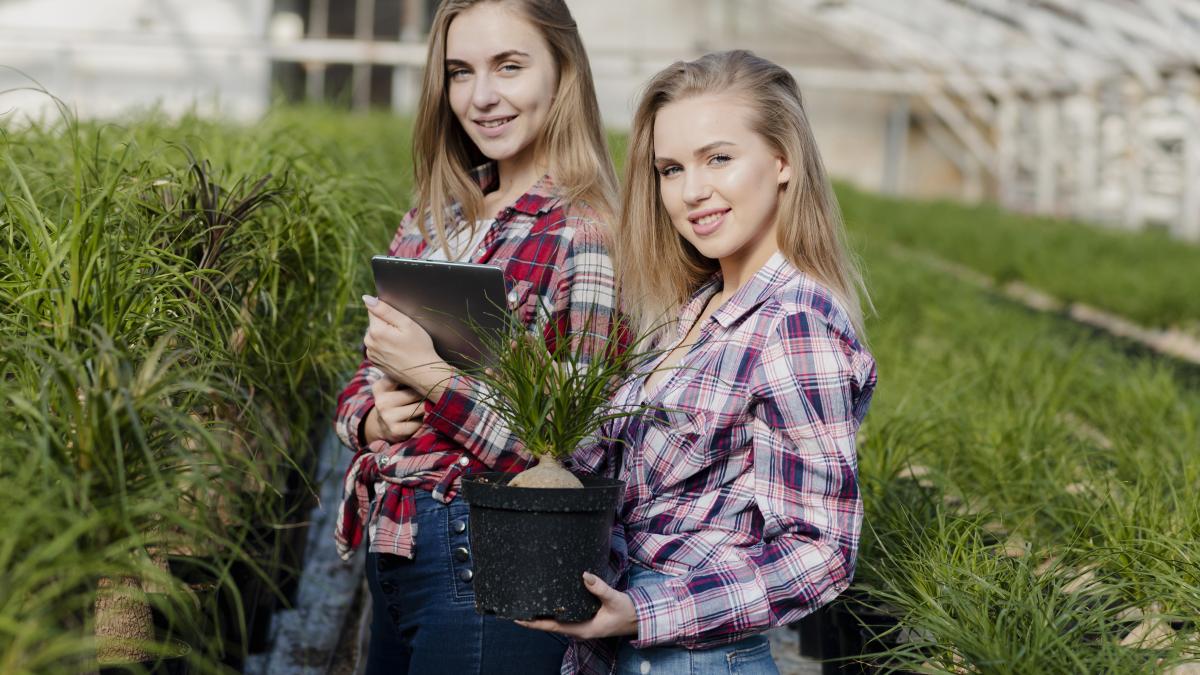 women-caring-plants-from-greenhouse_61701000
