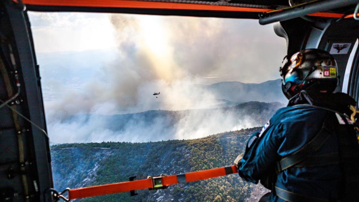 indendiu-de-padure_00233500