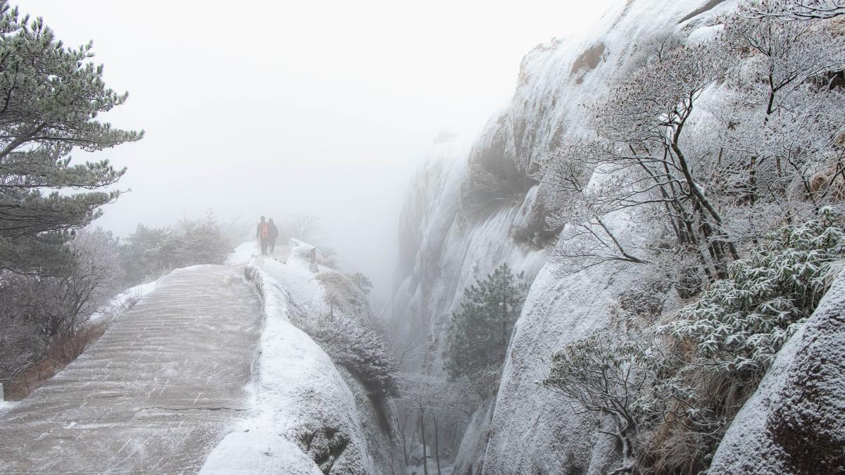 scenic-view-waterfall-foggy-weather_04460500