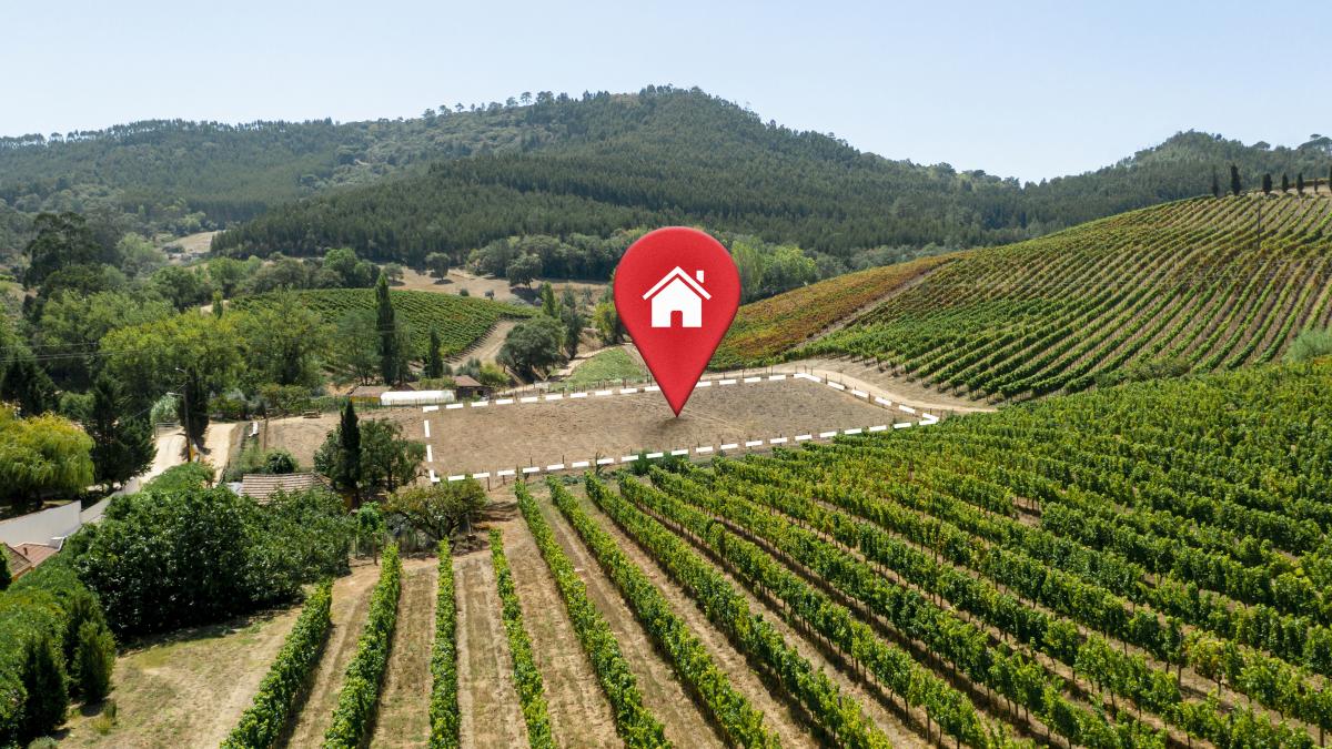 vanzare-teren_59707400