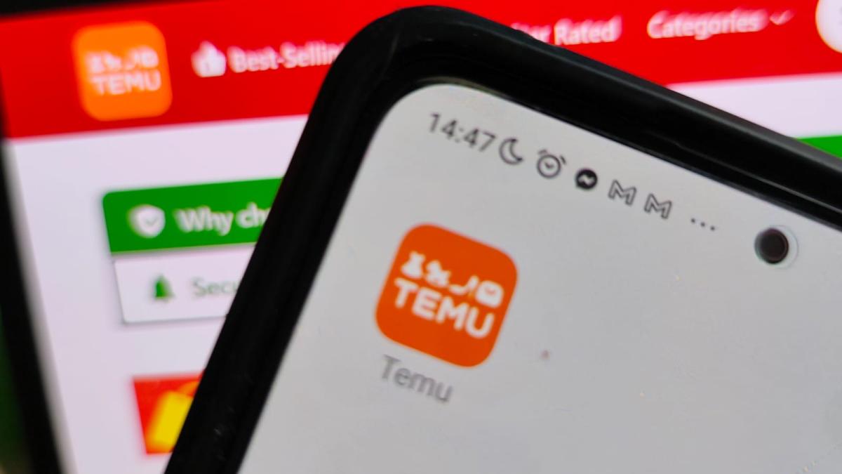 temu_dcbusiness_34024900