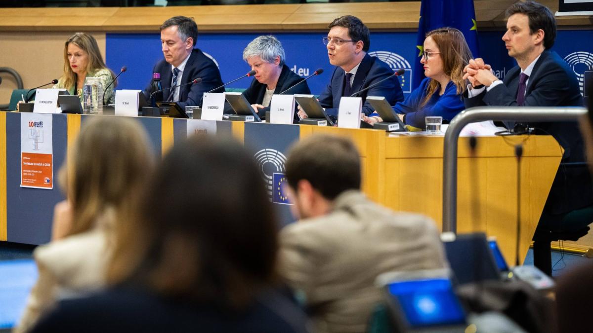 victor-negrescu_58856900