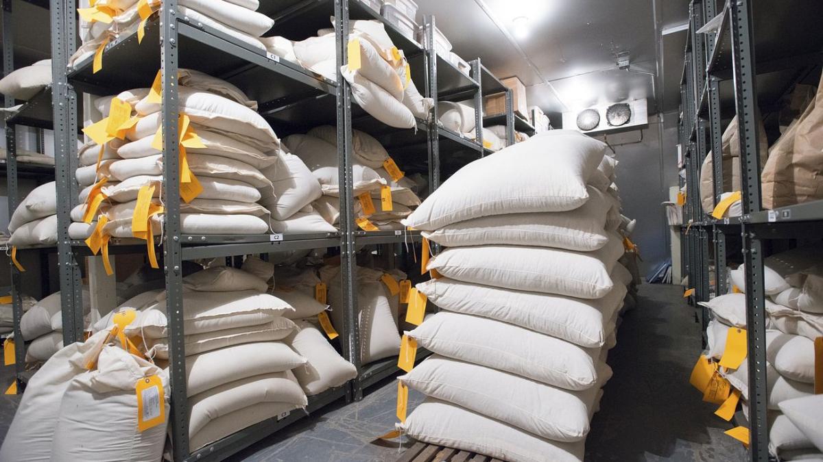 saci-cu-lapte-praf_07593600