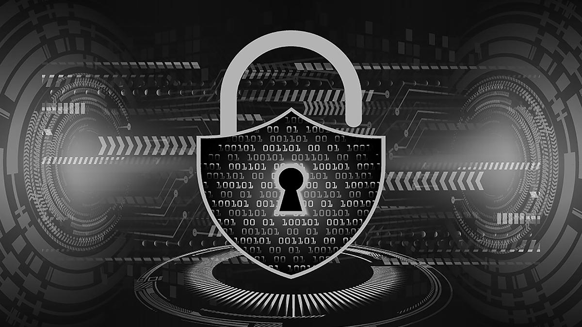 dcbusiness-ro_carpatguard-ro_41346300