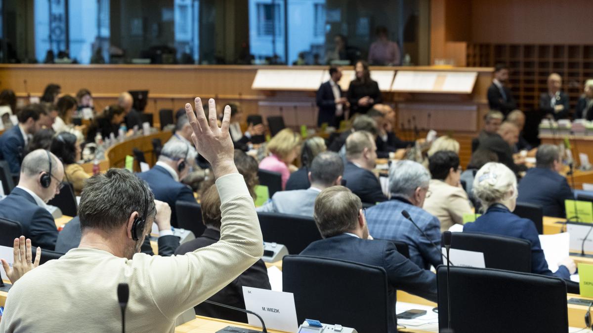 vot-parmalentul-european_50029500