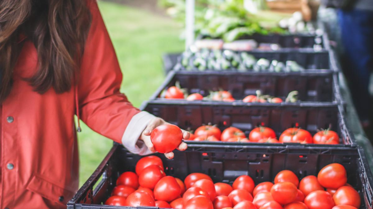 femeie-cumpara-rosii_69489700