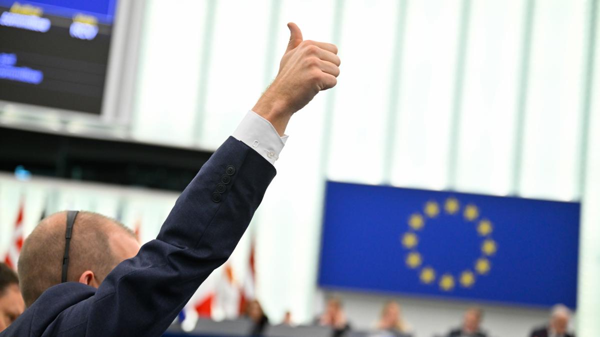 vot-in-parlamentul-european_35121600