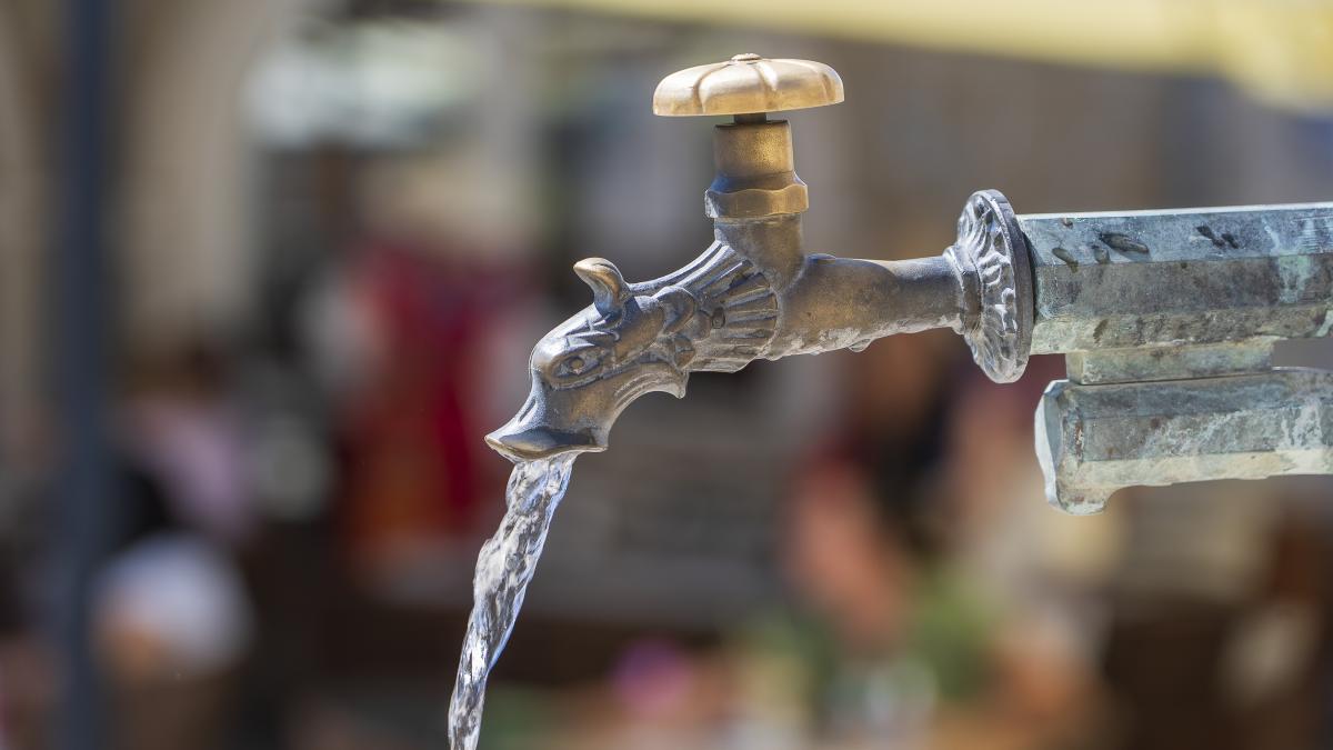 cismea-pe-strada_30380900