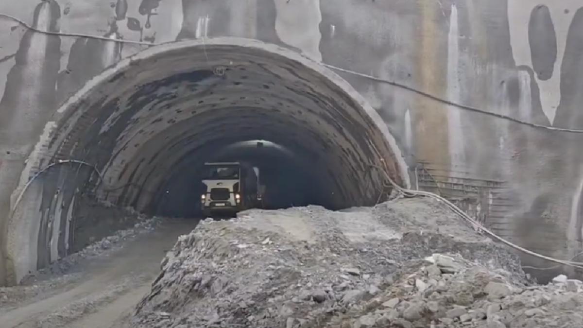 boita-cornetu-a1_17894300