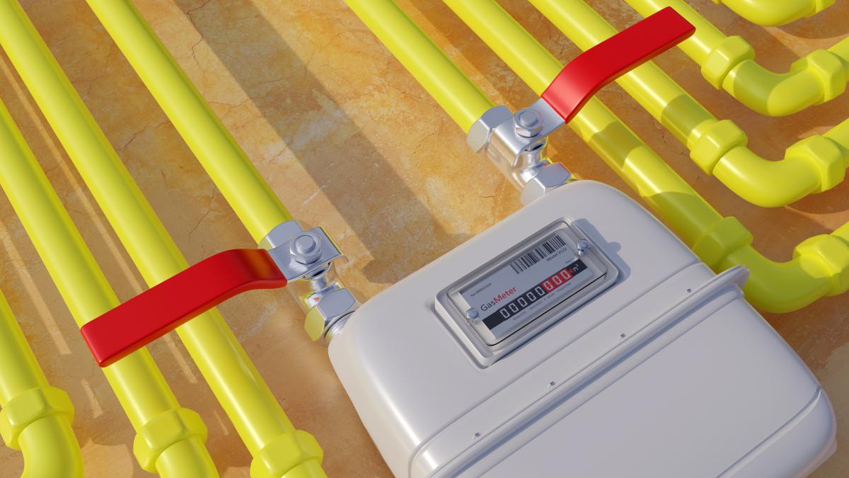 contor-gaze-6_21310200