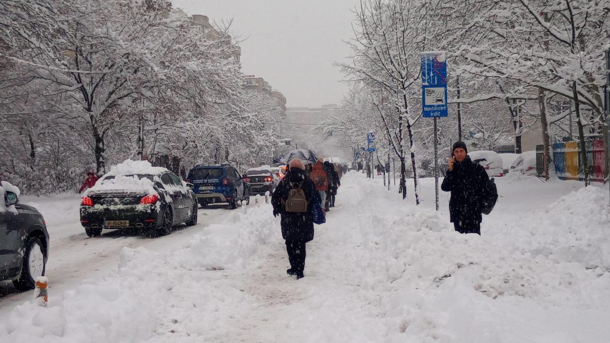 whatsapp-image-2026-02-18-at-08-42-47_13155500