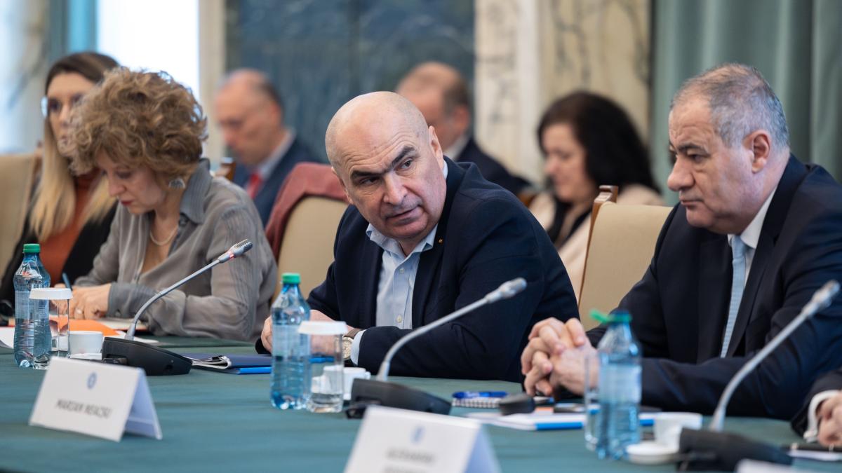 ilie-bolojan_69969800