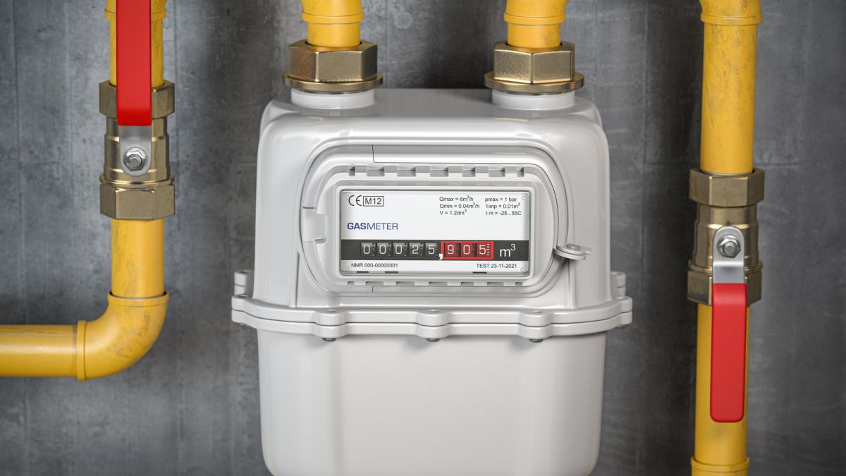 contor-gaze-1_25486600