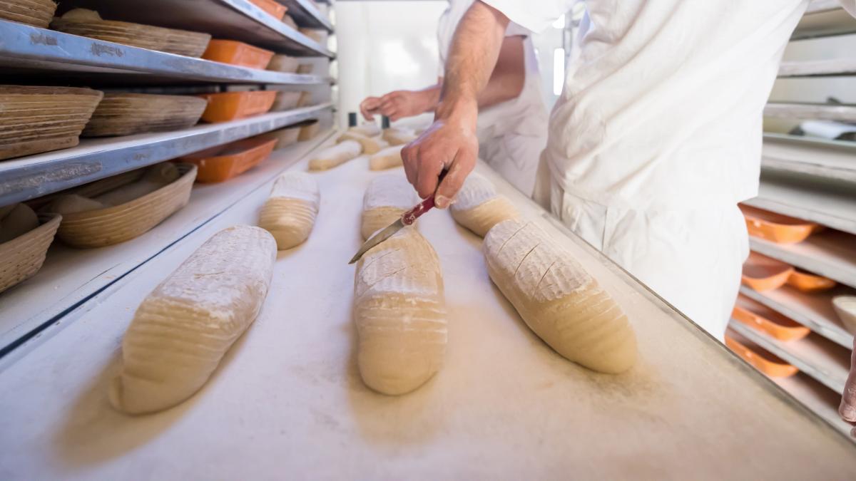 brutar fabrica paine