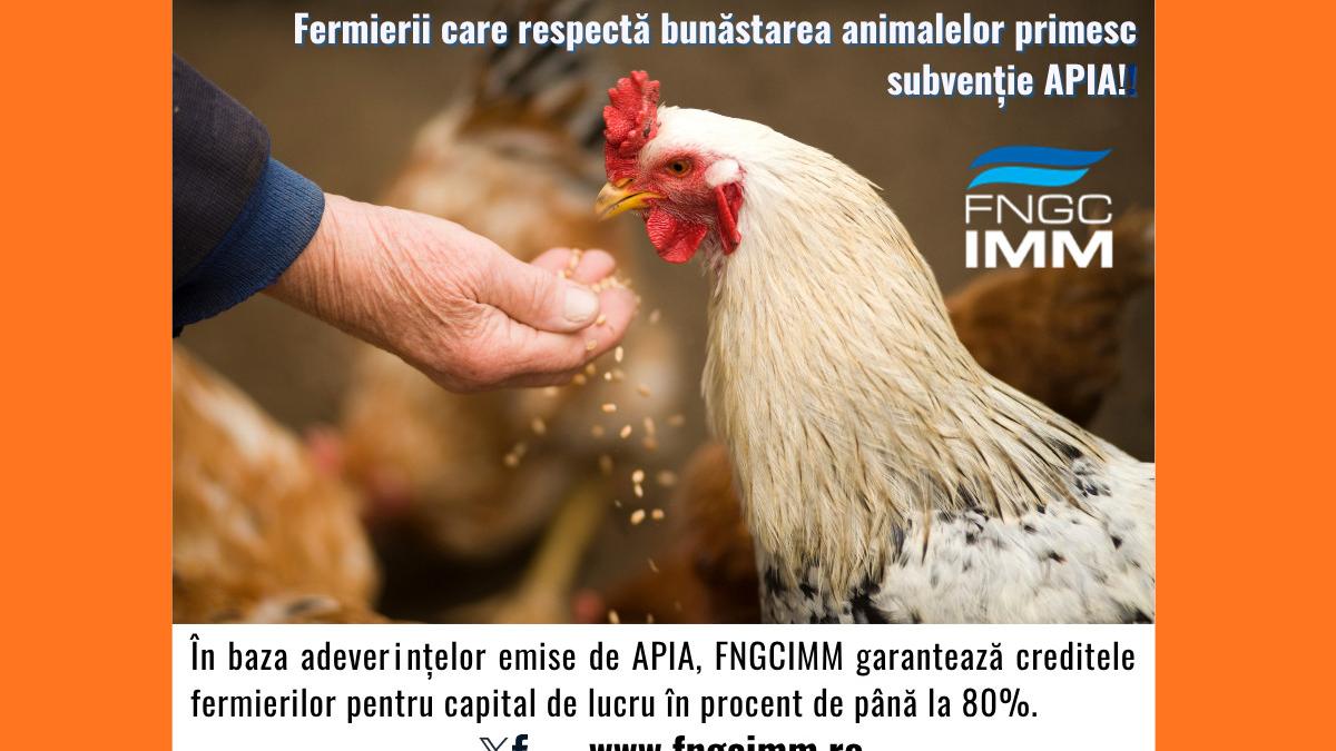 APIA 2026 bunastare  copy