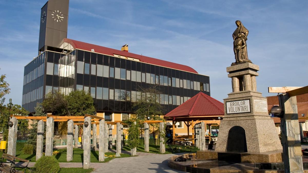 primaria voluntari