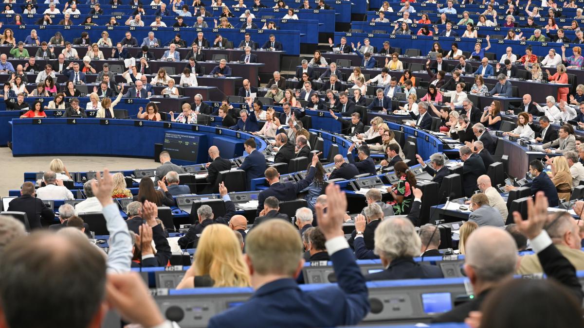 vot parlamentul european