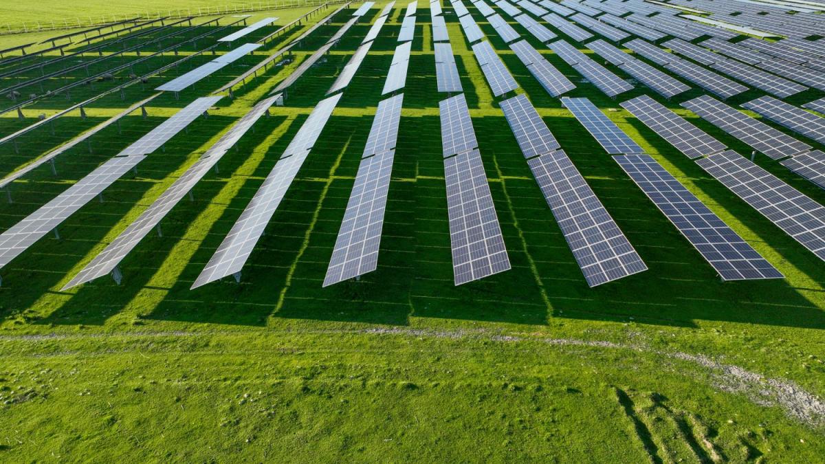 Panouri fotovoltaice