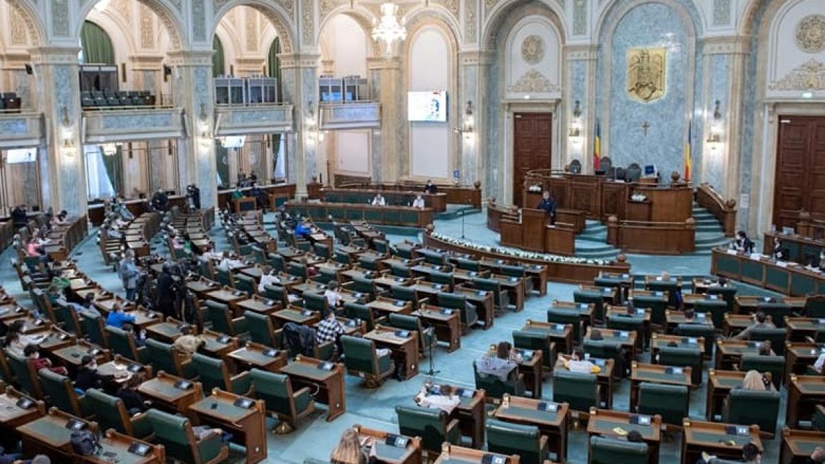 senat_19136300