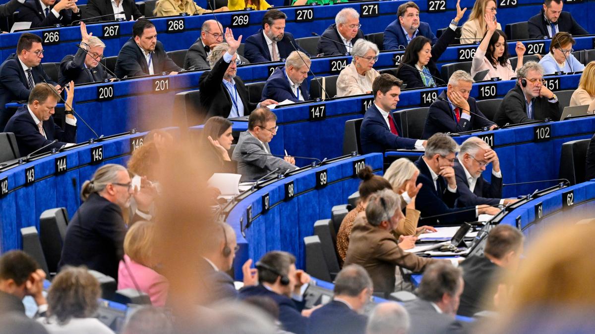 Vot in comisia europeana