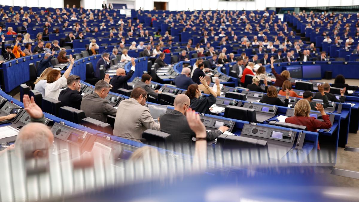 vot parlamentul european