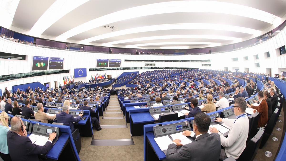 vor parlamentul european
