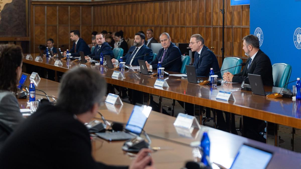 sedinta guvernul luca niculescu
