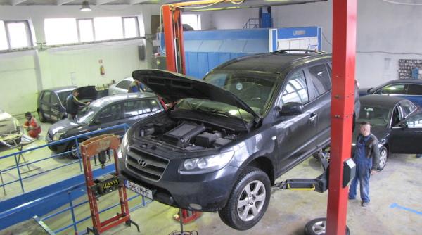 Finanţare nerambursabilă pentru românii din Diaspora. Ce afaceri pot fi dezvoltate