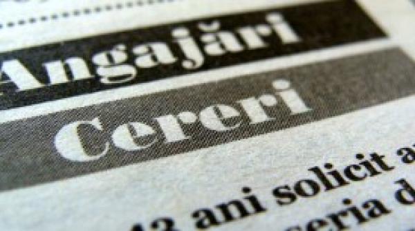 30.388 locuri de muncă vacante. Ce meserii se caută