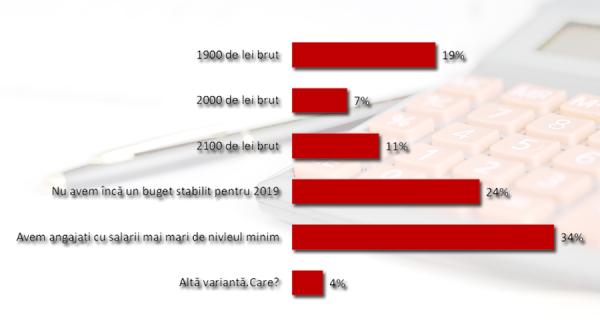 Olguţa Vasilescu a dat peste cap bugetele companiilor private