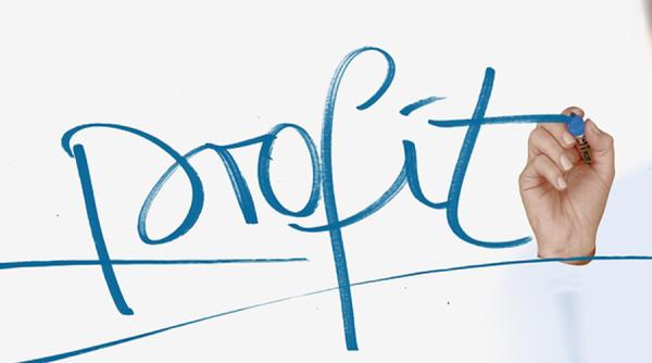 Una din patru companii nu raportează profit