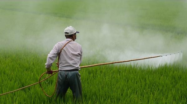 România, printre liderii UE la vânzările de pesticide