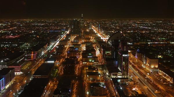 Davos în deșert, un forum economic sortit eșecului?